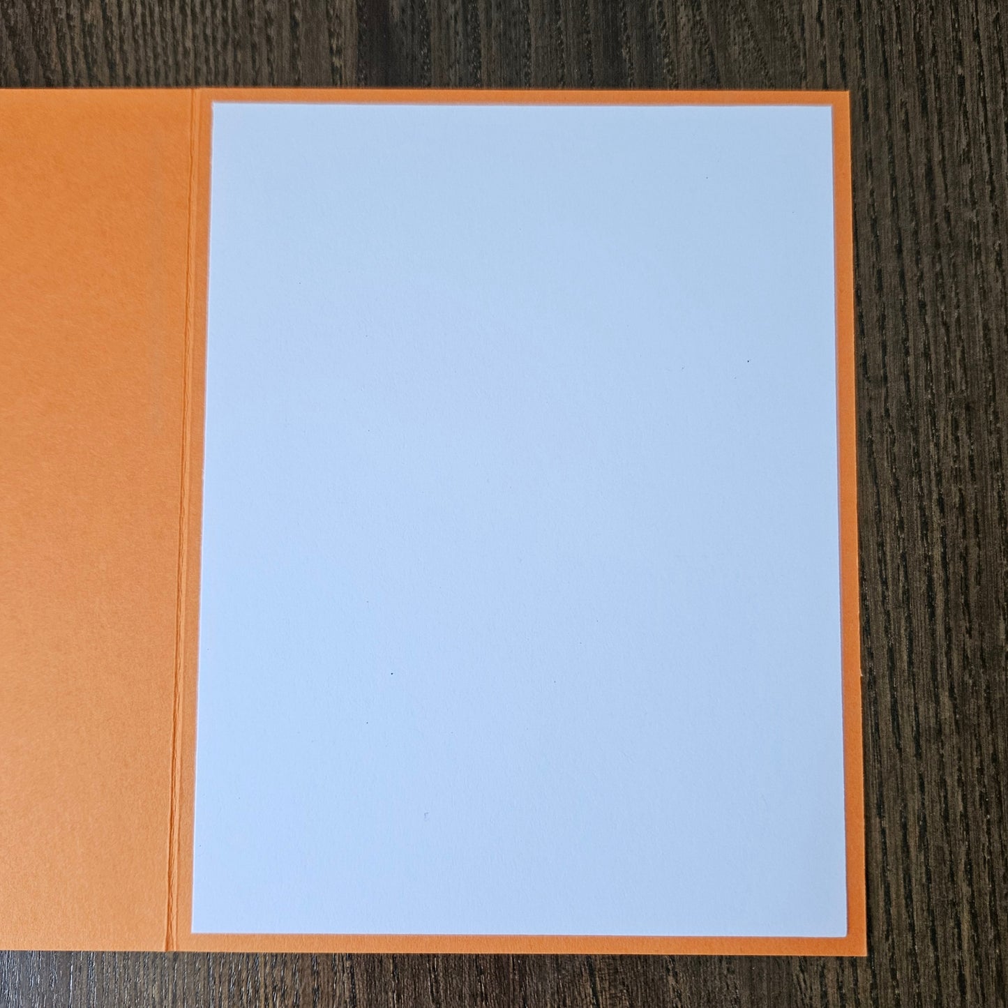 Funny Halloween Card, Snarky Stay Weird Pumpkins, Handmade, Blank Inside